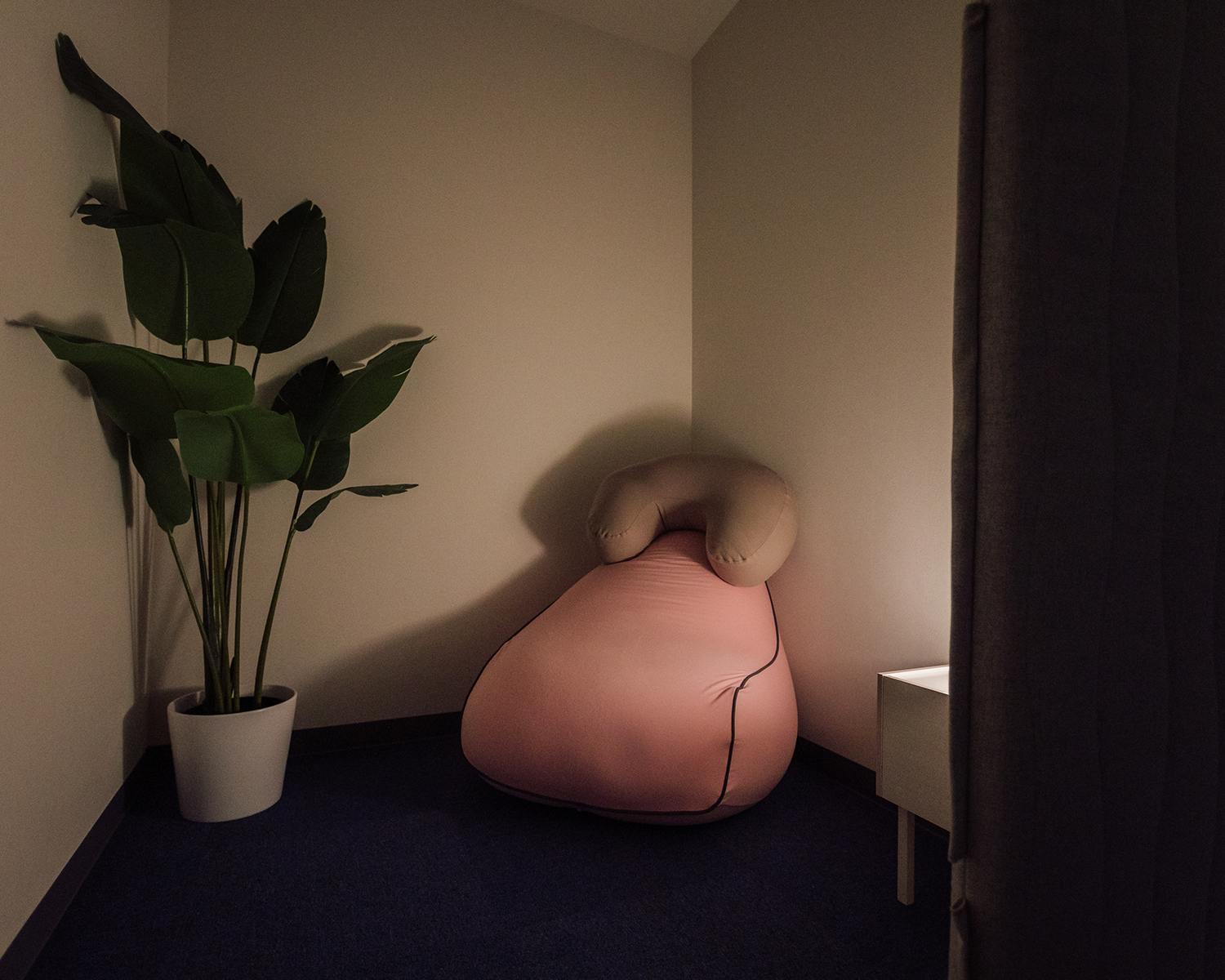 アマヤドリSTUDIO